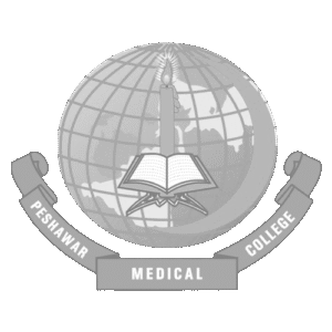 Scholarly Ventures - partner 13