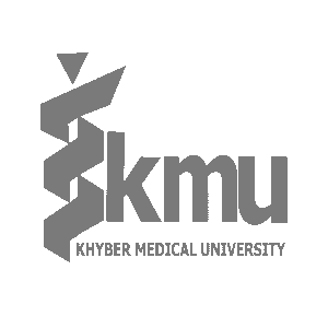 Scholarly Ventures - partner 2